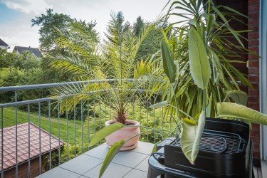Hauptbild Zuhause im Grünen – Penthouseähnliche Wohnung in Schwitten